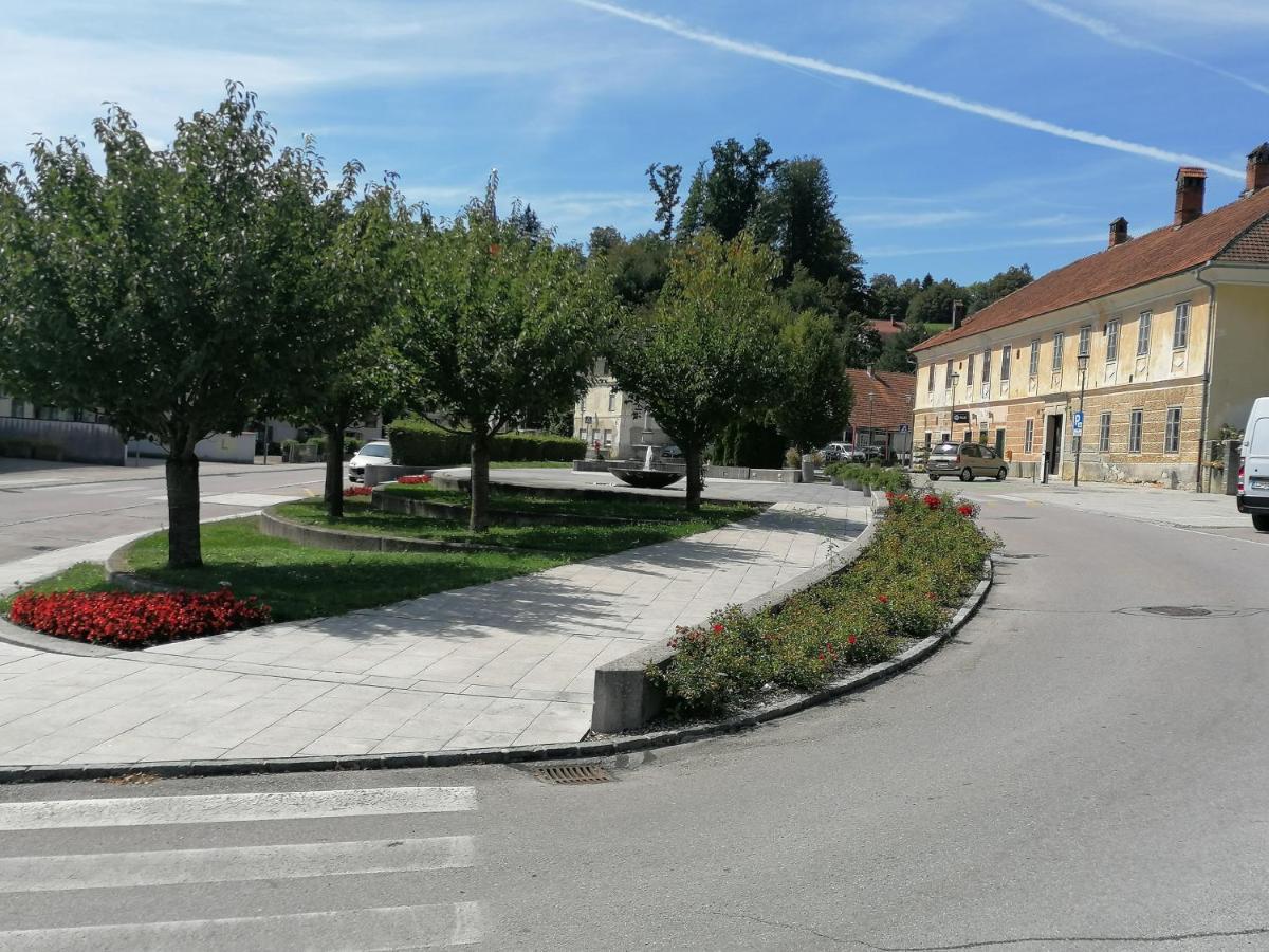 Apartments Bukor Lukovica pri Domžalah エクステリア 写真