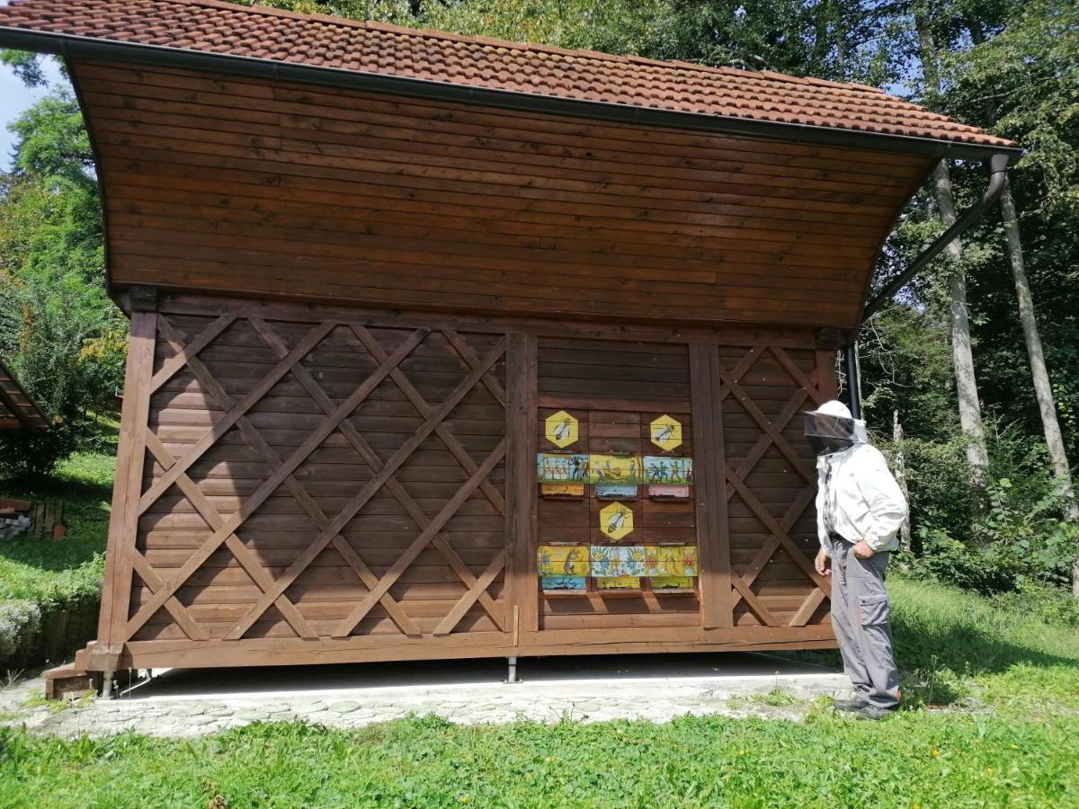 Apartments Bukor Lukovica pri Domžalah エクステリア 写真