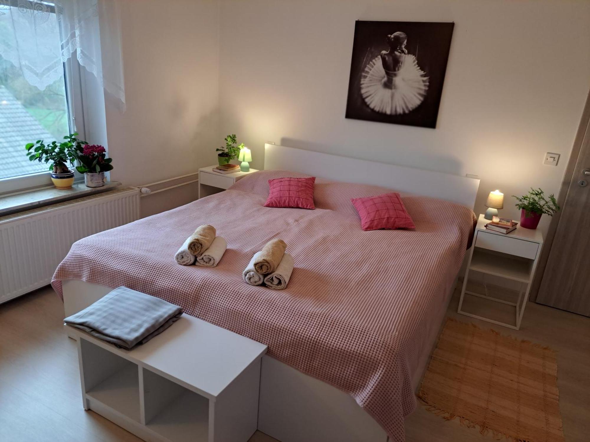 Apartments Bukor Lukovica pri Domžalah エクステリア 写真